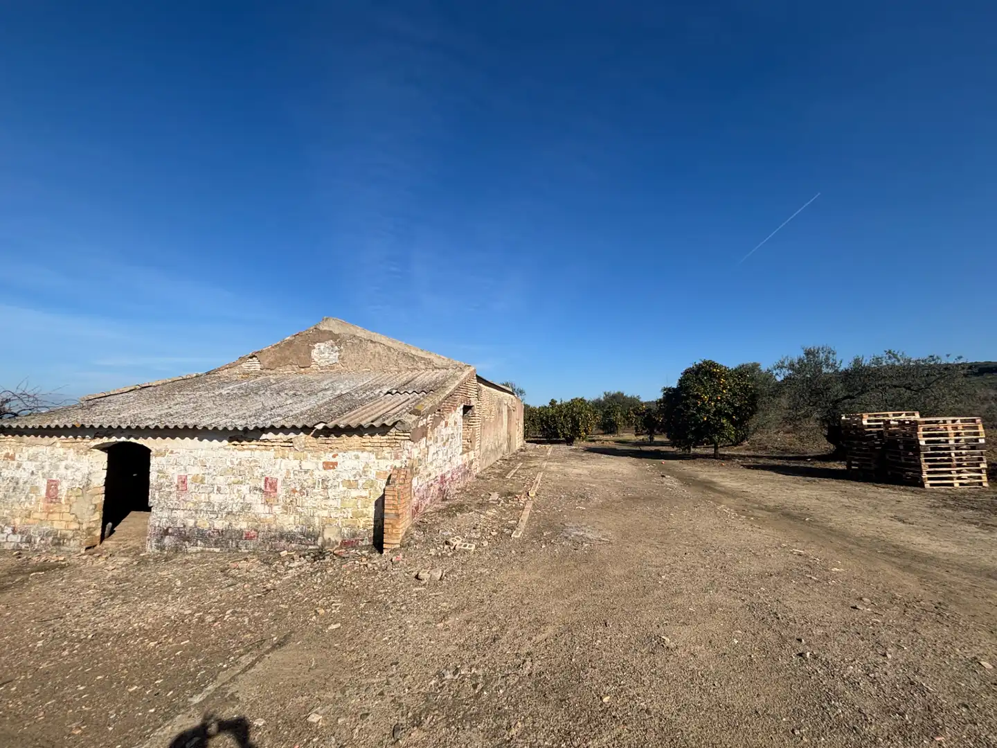 Exterior view of Land for sale in Sanlúcar la Mayor