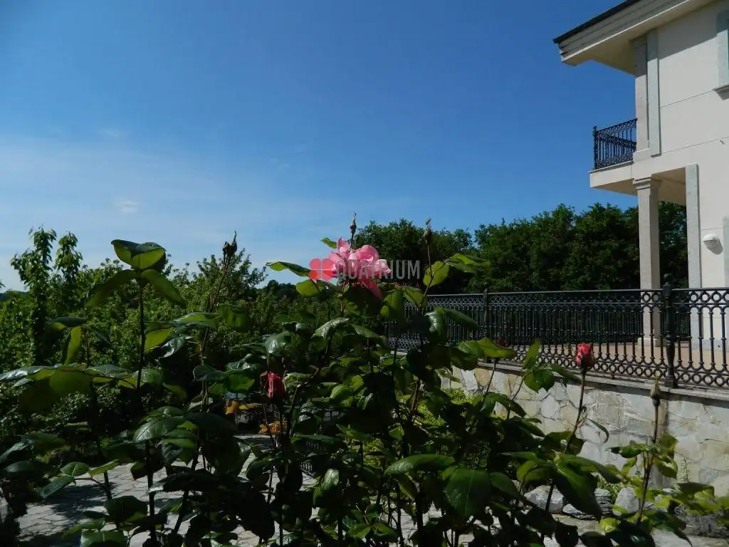 Garten von Gebäude zum Verkauf in O Incio 