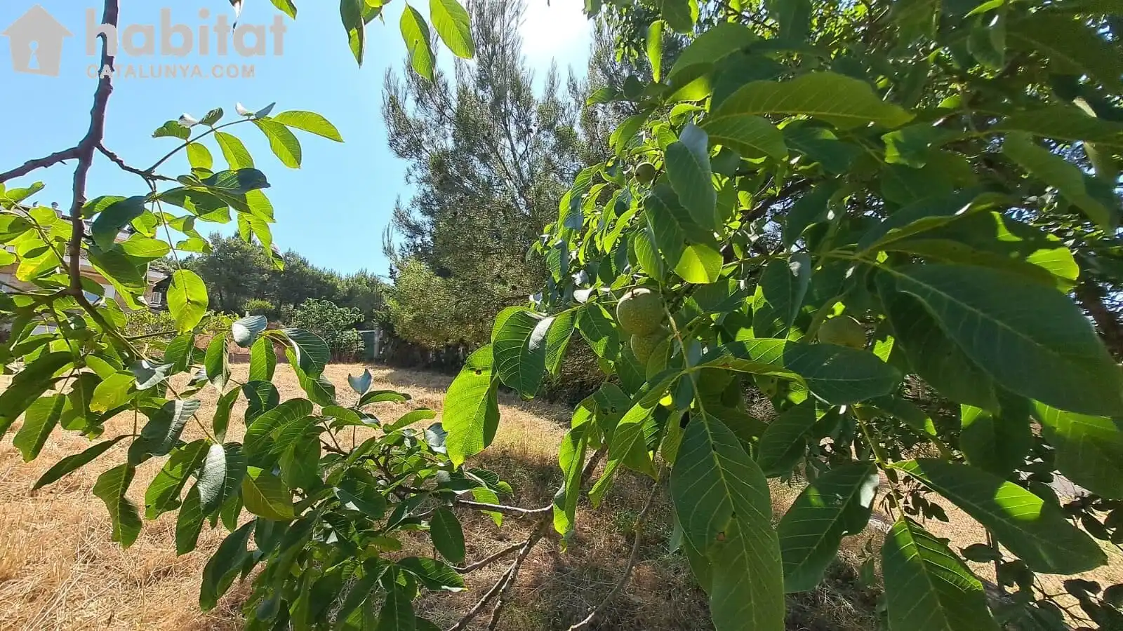 Terreno residenziale in vendita a El Bruc, imagen 4