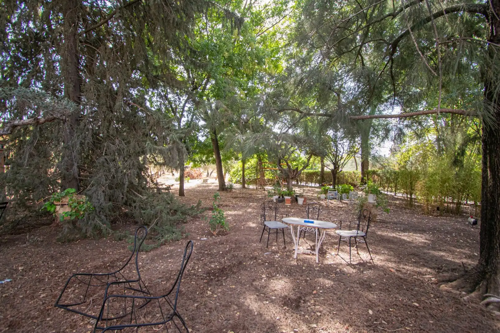 Garten von Country house zum Verkauf in Mairena del Aljarafe mit Terrasse, Schwimmbad und Balkon