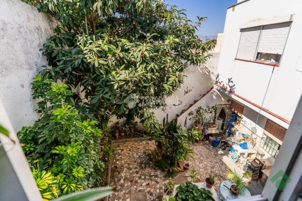 Garden of Flat for sale in Puerto Real  with Terrace
