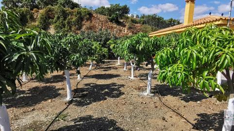 Foto 3 de Casa o chalet en venta en Benamocarra, Málaga