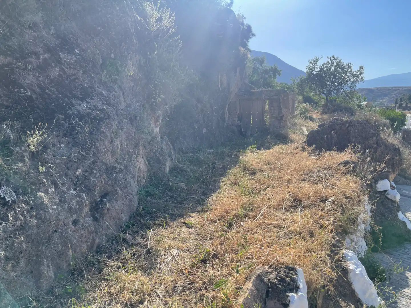 Terreno en venta en Alicún