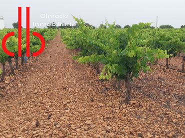 Terreno rustico in vendita a Tomelloso