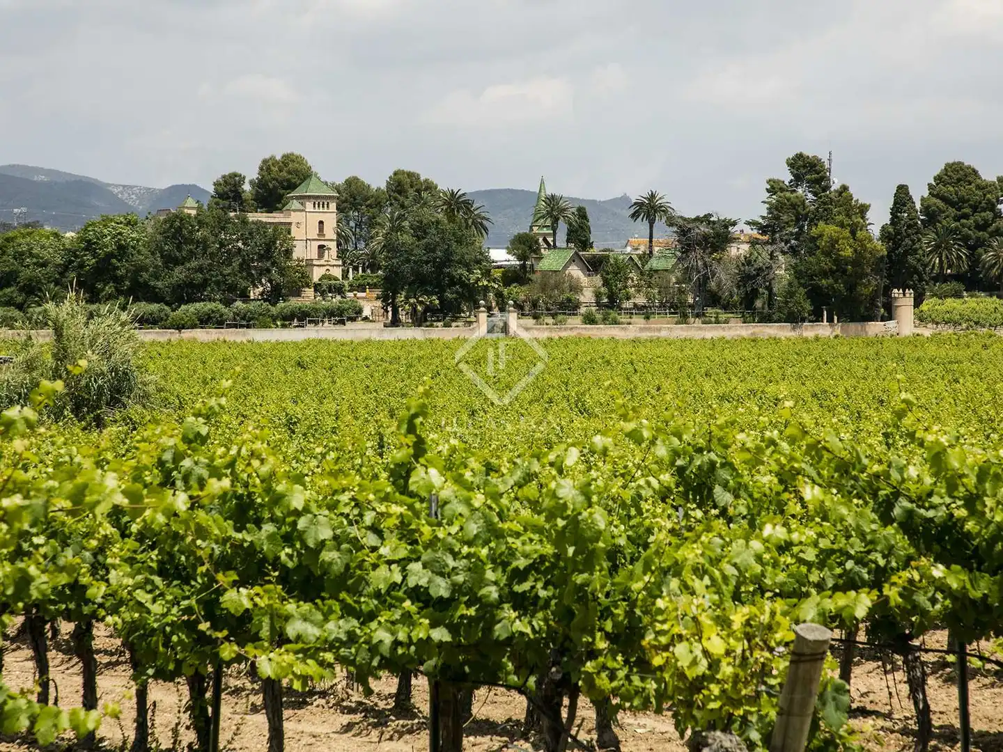 Vista exterior de Finca rústica en venta en Banyeres del Penedès con Jardín privado, Terraza y Piscina