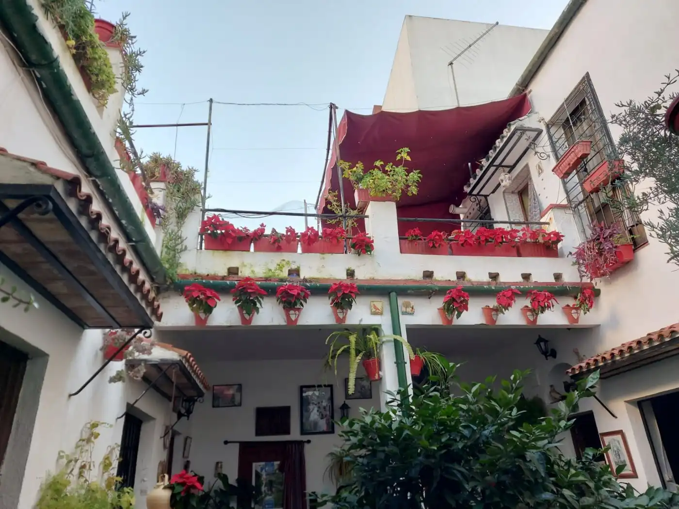 Maison à vendre à Centro, imagen 20
