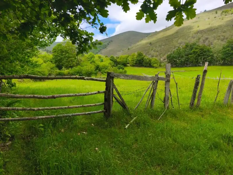 Rural land for sale in Rionansa