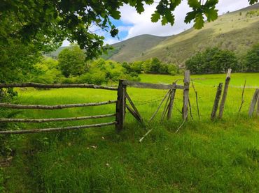 Rural land for sale in Rionansa