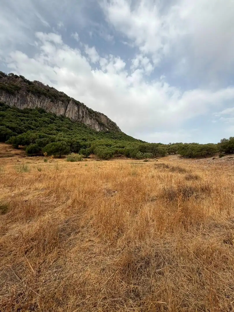 Rural land for sale in Morón de la Frontera, imagen 12