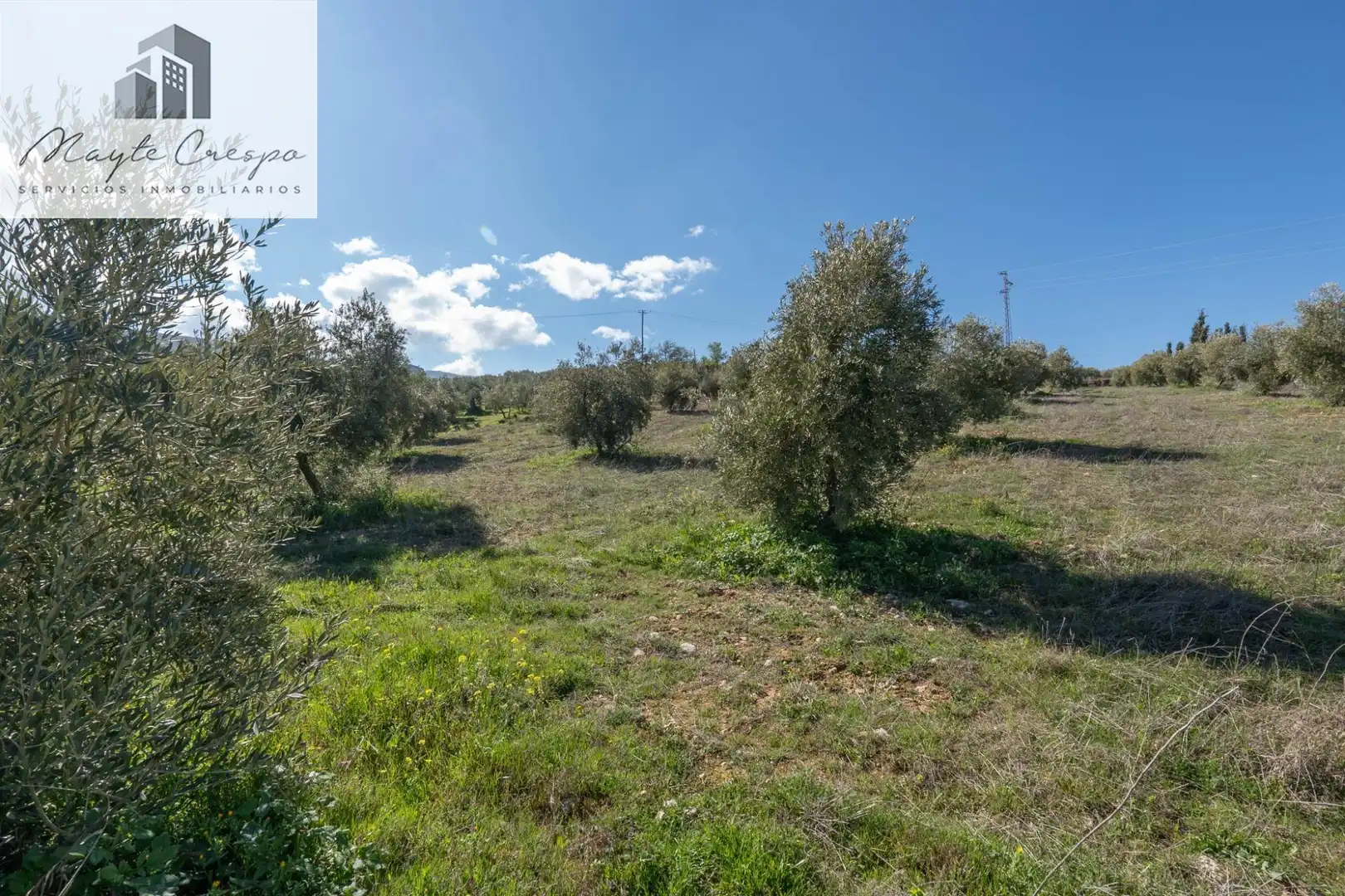 Terreni e lotti in vendita a Cogollos de la Vega, imagen 17