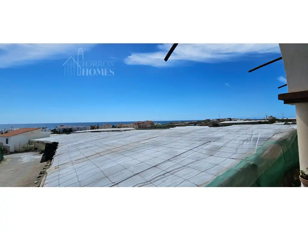 Finca rústica en venda en Torrox