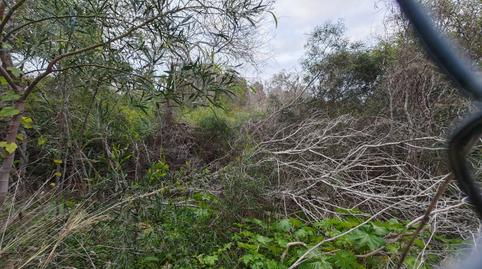 Photo 4 of Residential for sale in Carrer la Morena, 24, Cala Advocat - Baladrar, Alicante