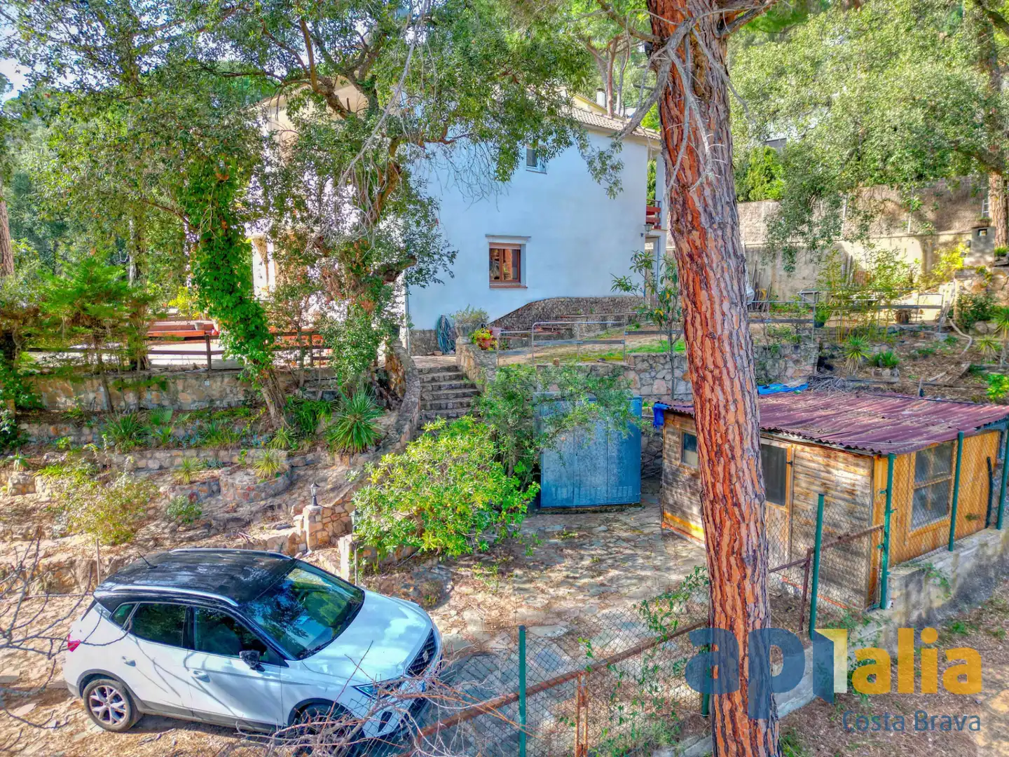Vista exterior de Casa o chalet en venta en Sant Feliu de Guíxols con Calefacción, Jardín privado y Terraza