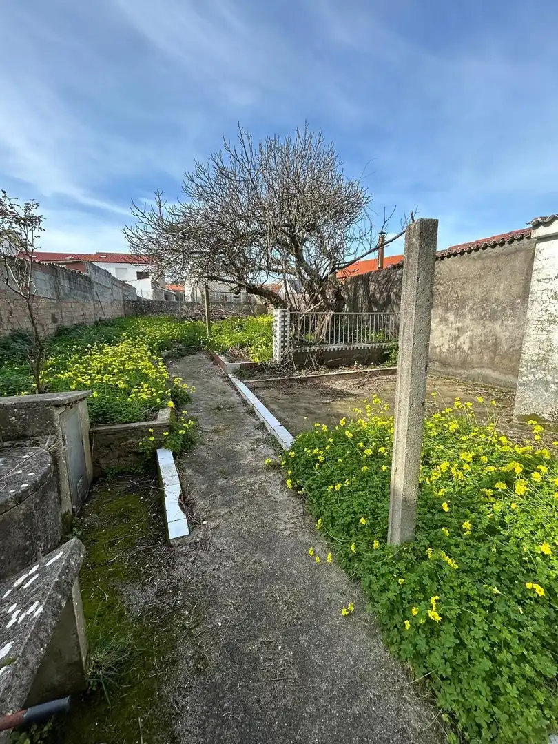 Houses for sale in Ribeira