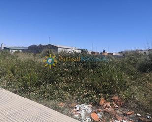 Industrial land for sale in Daimús