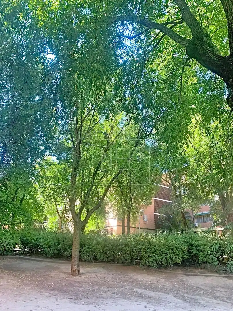 Appartement avec jardin à vendre à Calle CGDOR JUAN DE BOBADILLA, imagen 34