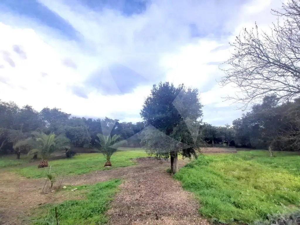 Casa o xalet en venda a Río Búrdalo, Avenida Elvas