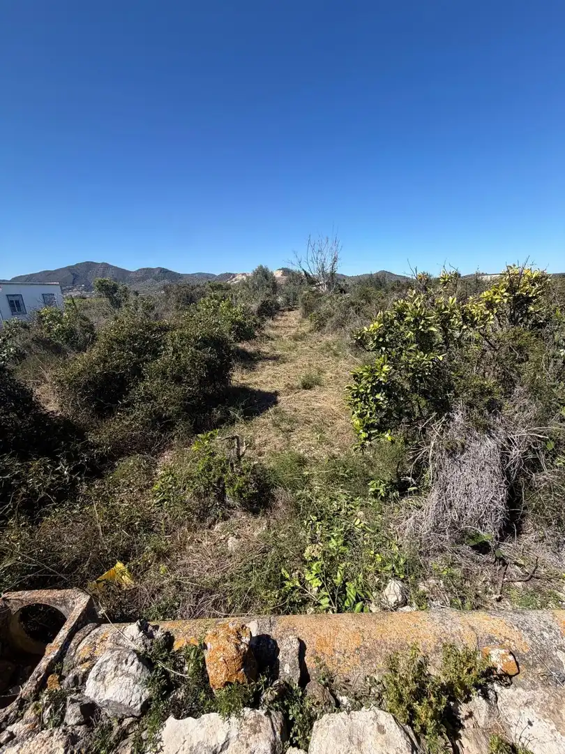 Rural land for sale in Pego, imagen 12
