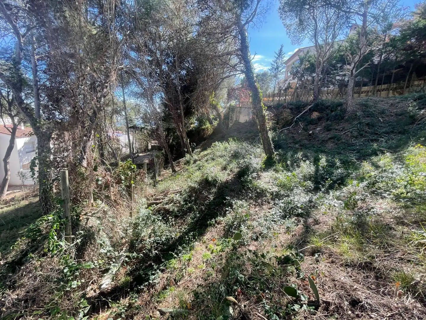 Lands and plots for sale in L'Estartit Poble, imagen 6