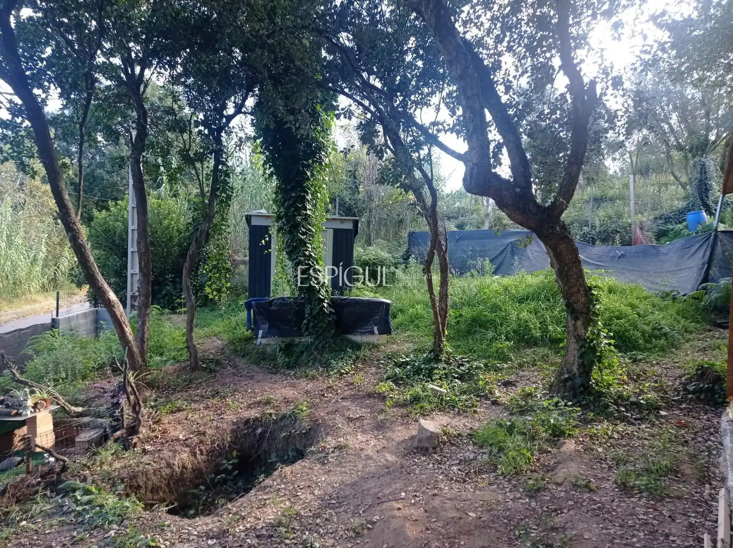Terreno rústico en venta en Carrer Espliego, imagen 7