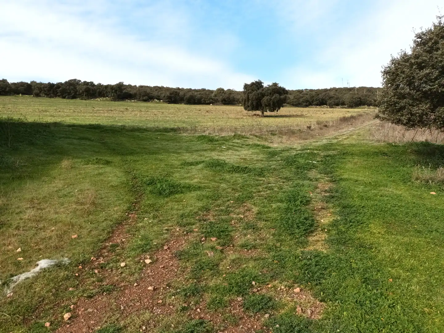 Terreny rústic en venda a Alcolea de Calatrava, imagen 3