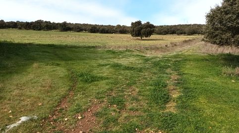 Foto 3 de Terreno en venta en Alcolea de Calatrava, Ciudad Real