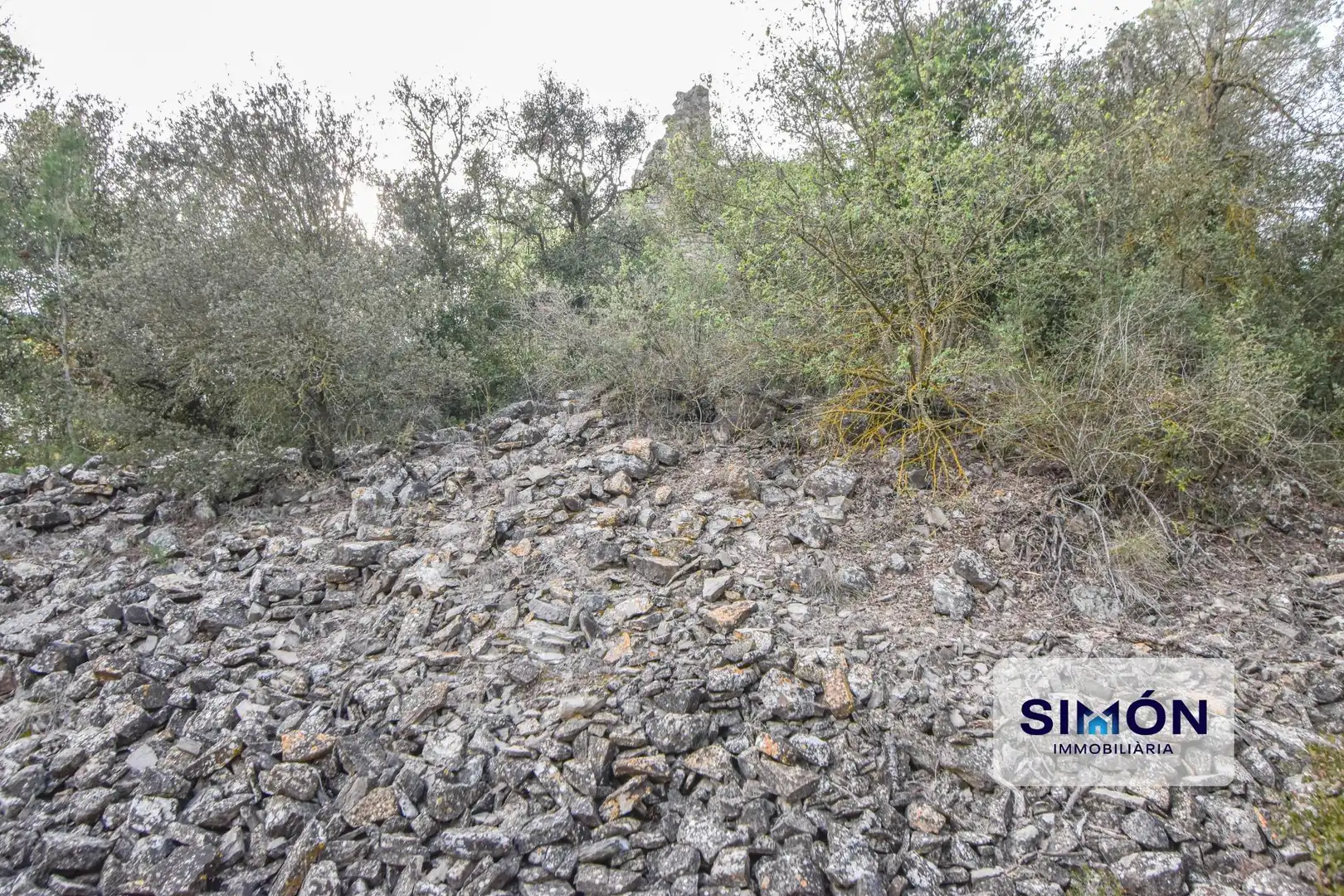 Finca rústica en venta en Veciana