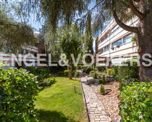 Jardí de Pis de lloguer en  Madrid Capital amb Aire condicionat i Piscina