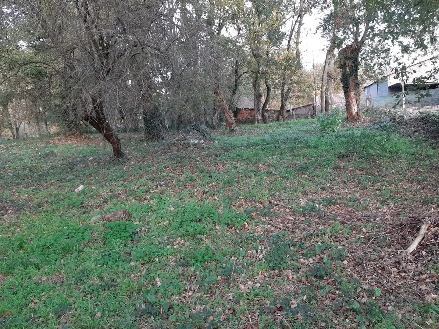Finca rústica en venta en Maceda con Trastero y Balcón