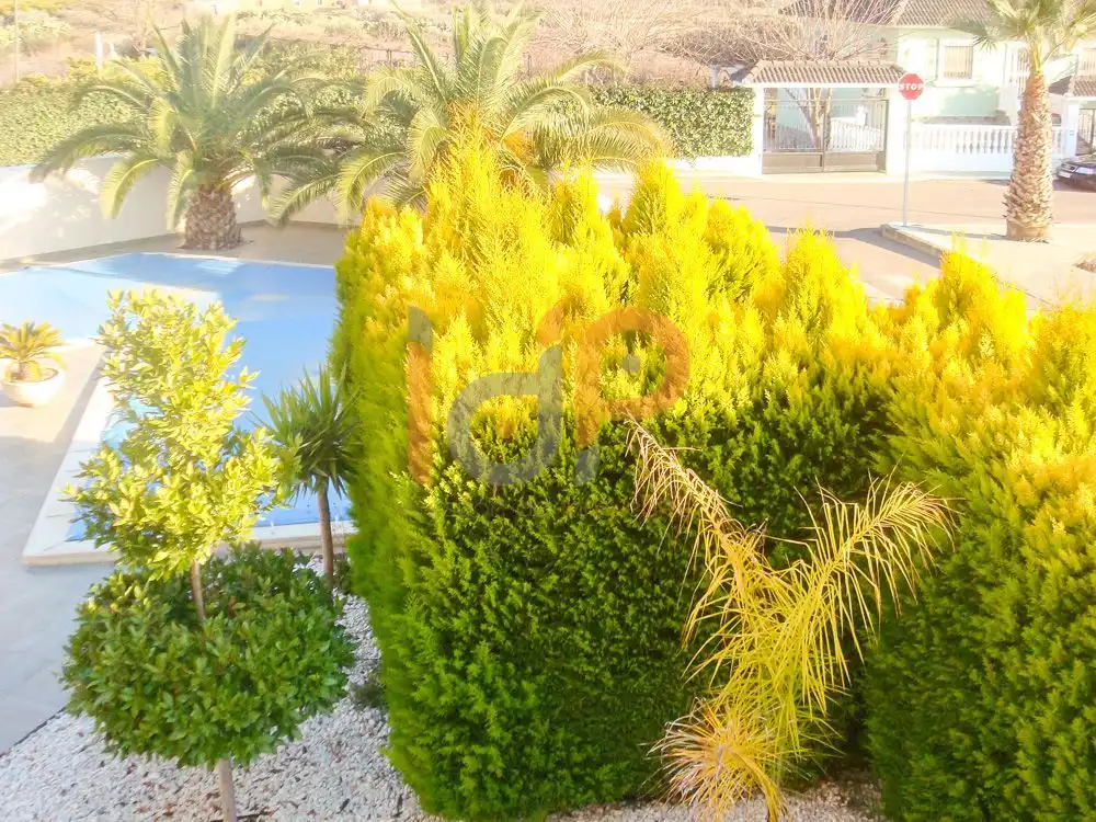 Haus mit Terrasse zum Verkauf in Huércal-Overa, imagen 4