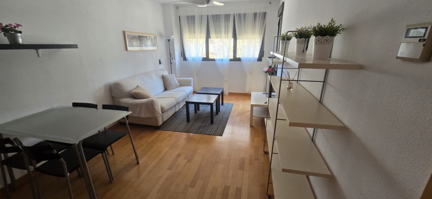 Sala d'estar de Apartament de lloguer en Águilas amb Aire condicionat, Parquet i Moblat