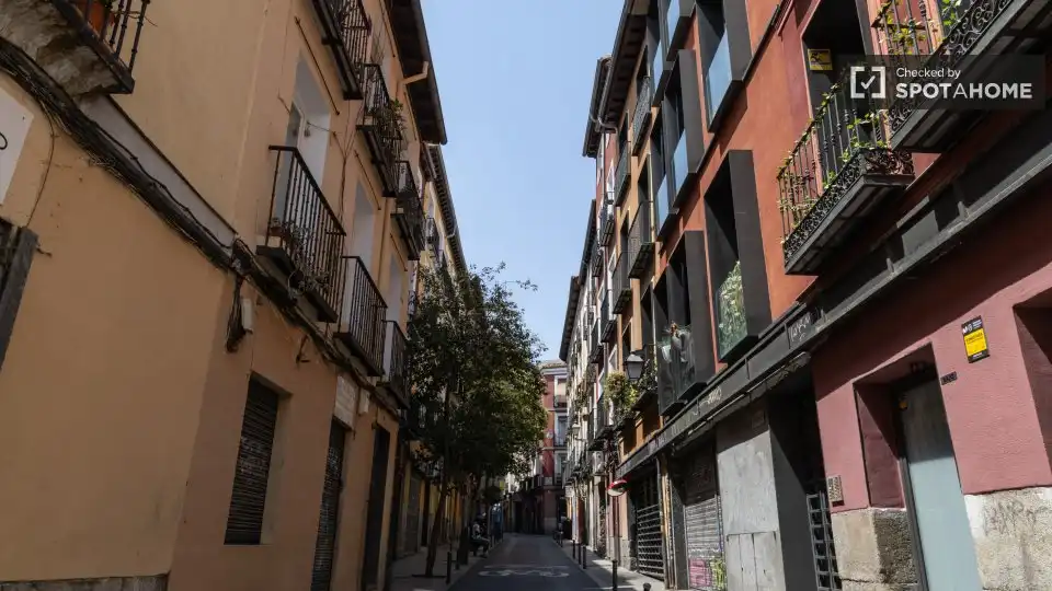 Appartement à louer à Centro, imagen 13