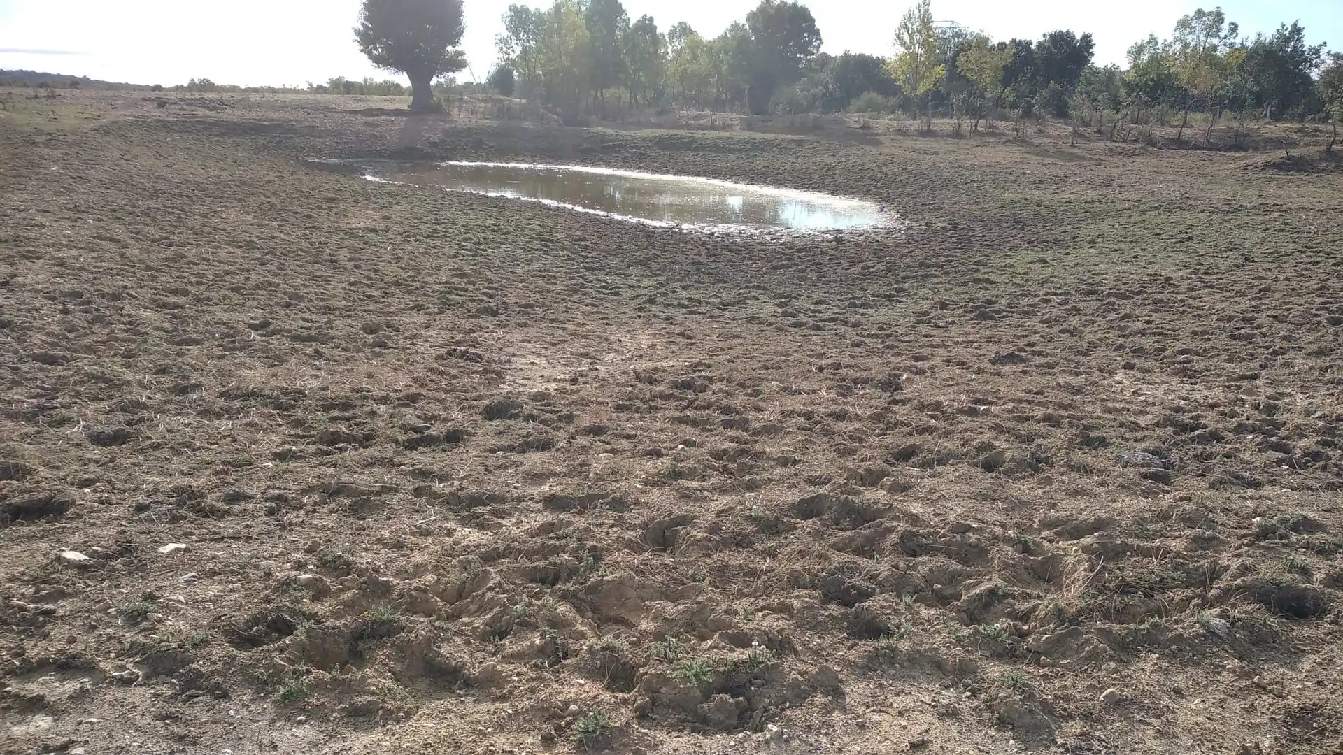 Rural land for sale in Topas, imagen 20