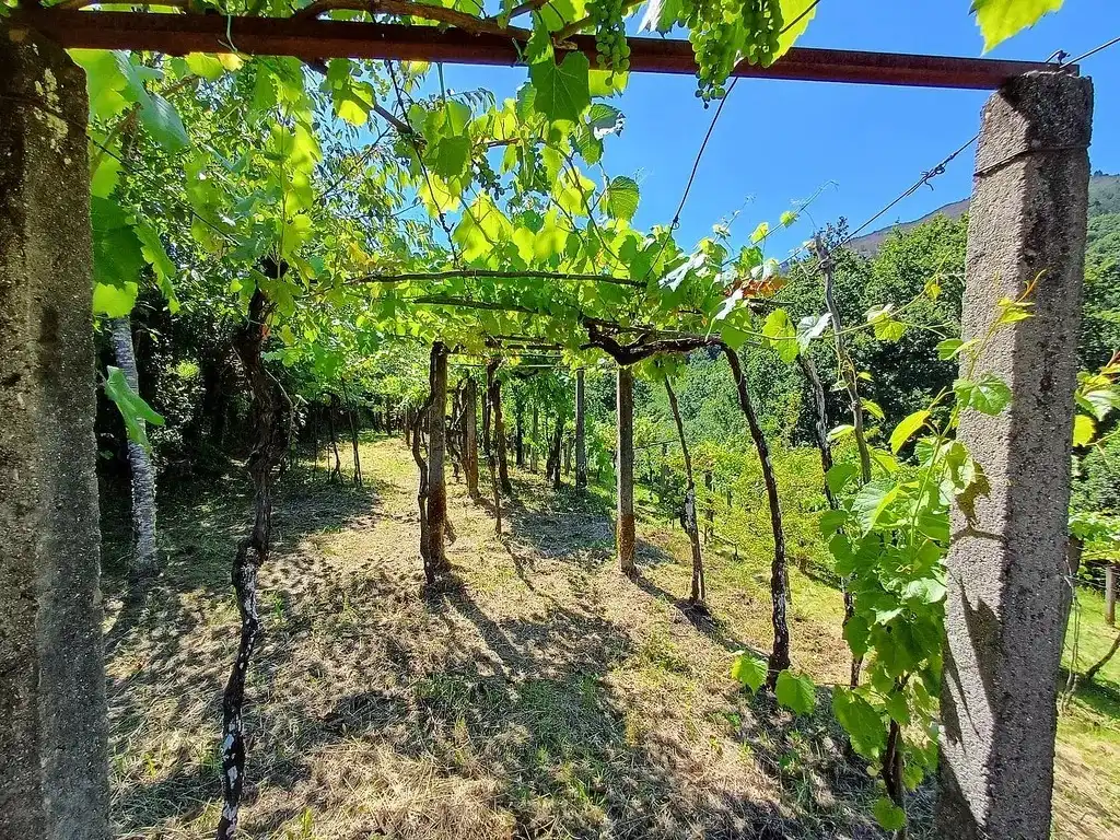 Maison avec jardin à vendre à Lugar Parada-Franqueira, imagen 2