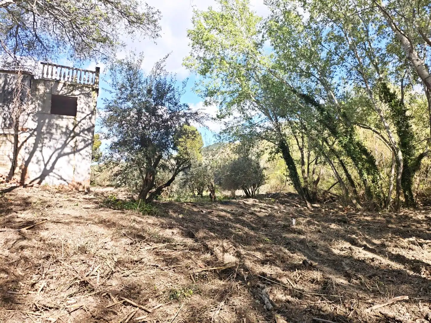 Grundstücke zum Verkauf in Jaén