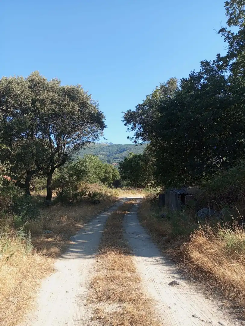 Terreni e lotti in vendita a Candeleda, imagen 14