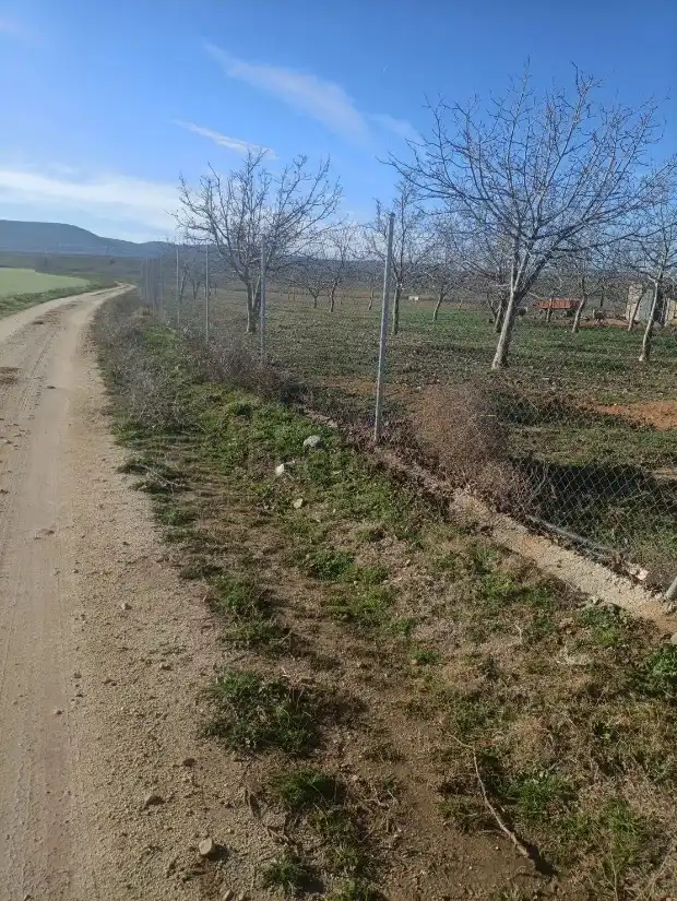 Rural land for sale in Manzaneque, imagen 9