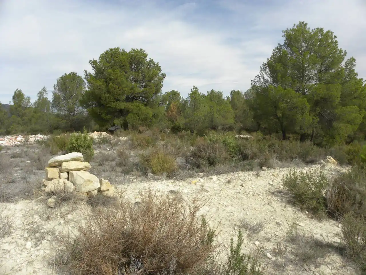 Terreno residencial en venta en Caravaca de la Cruz, imagen 8
