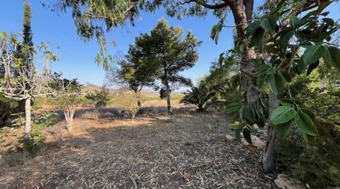 Foto 2 de Casa o chalet en venta en Centro, Fuente Álamo de Murcia