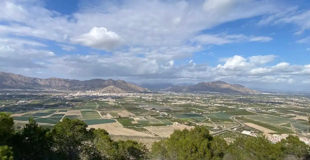 Terrenos y solares en venta en Desamparados - Hurchillo - Torremendo