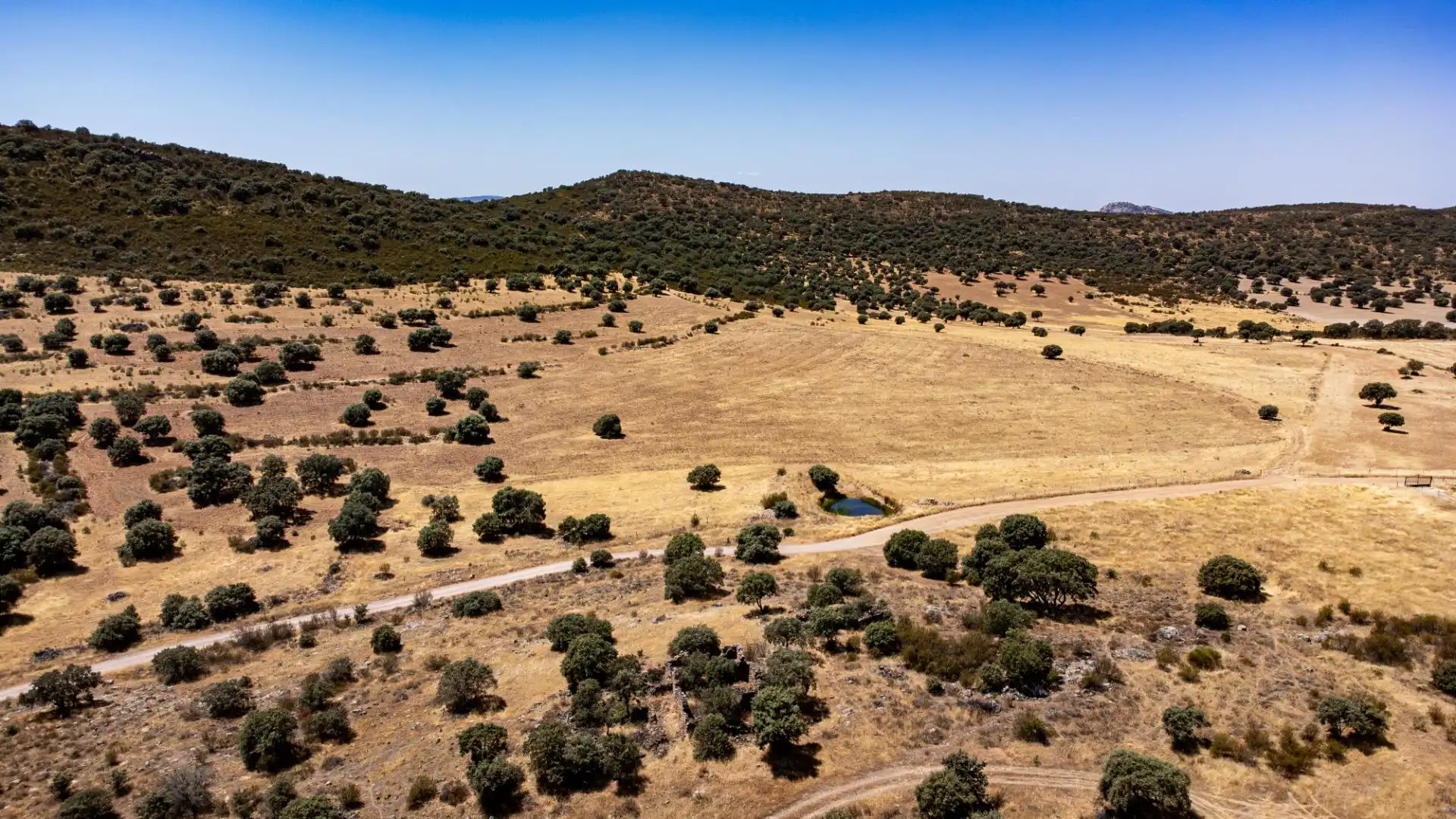 Terreno en venta en Peñarroya-Pueblonuevo