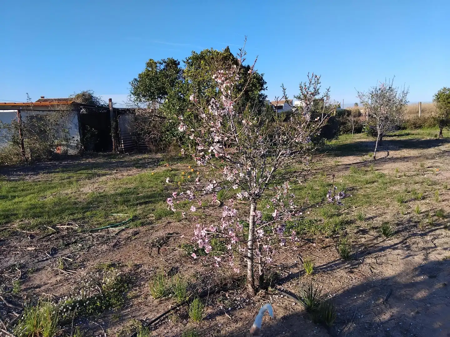 Villa avec jardin à vendre à El Marenyet, imagen 15