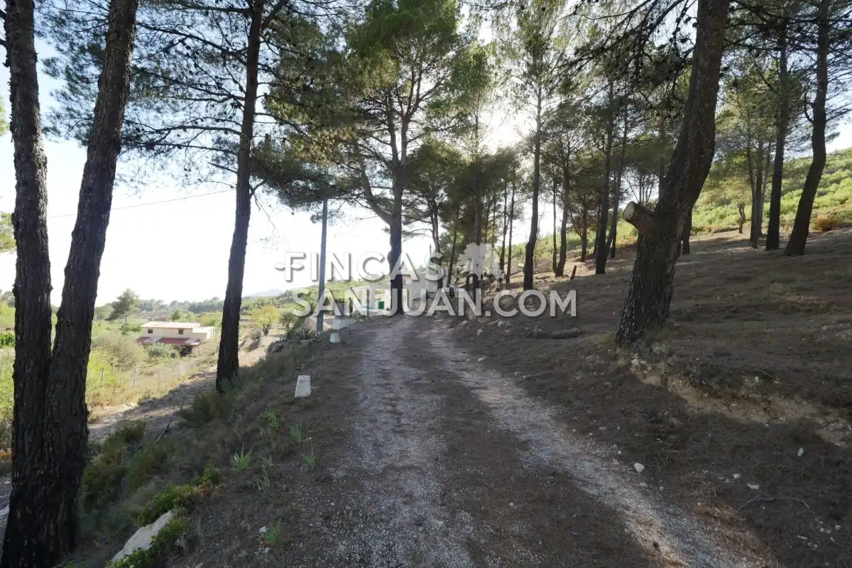 Residential zum Verkauf in Torremanzanas / La Torre de les Maçanes