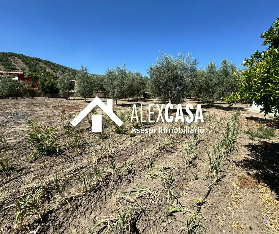 Terreno rustico in vendita a Plaza Vieja, imagen 3
