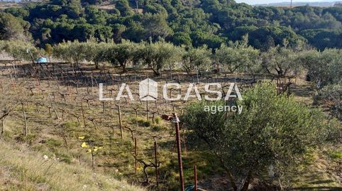 Photo 3 of Land for sale in Zona Industrial, Granollers