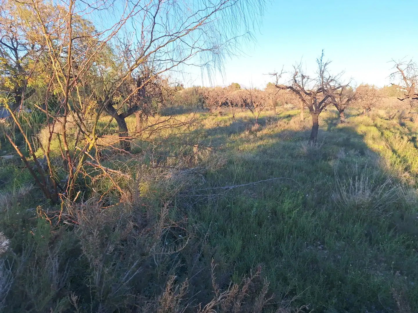 Terreny en venda en San Vicente del Raspeig / Sant Vicent del Raspeig