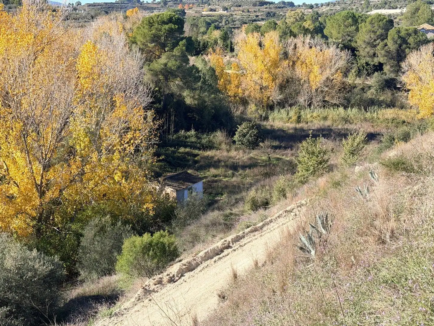 Terreno residenziale in vendita a Albaida, imagen 3