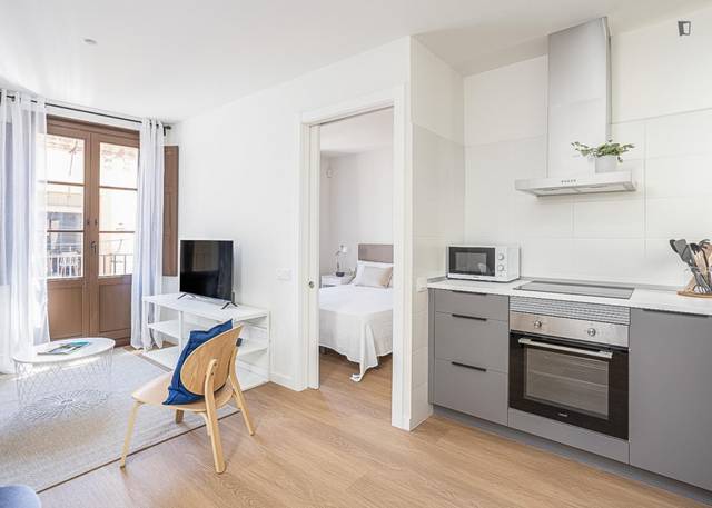 Apartamento en Alquiler en El Raval