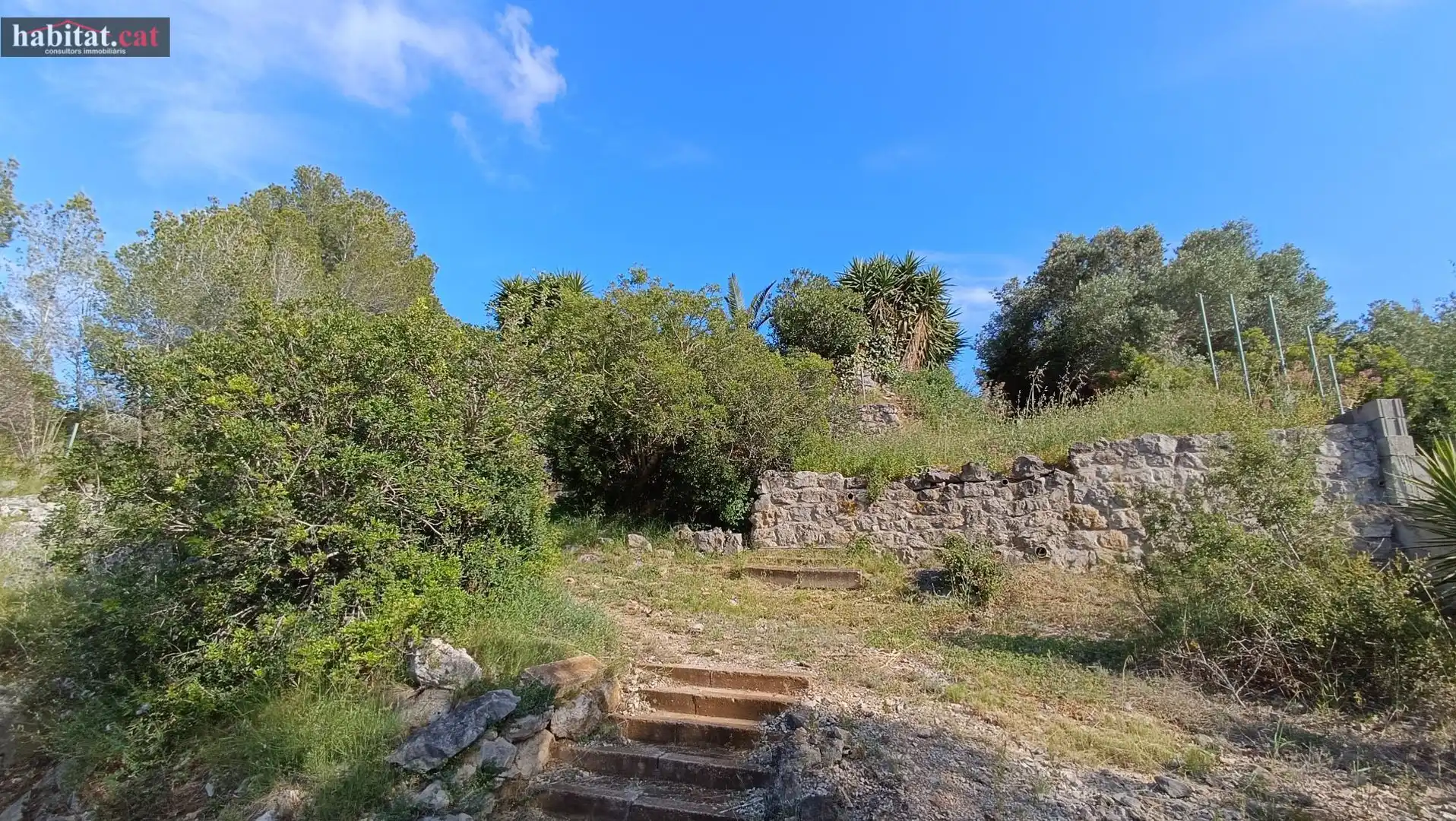 Houses for sale in Olivella