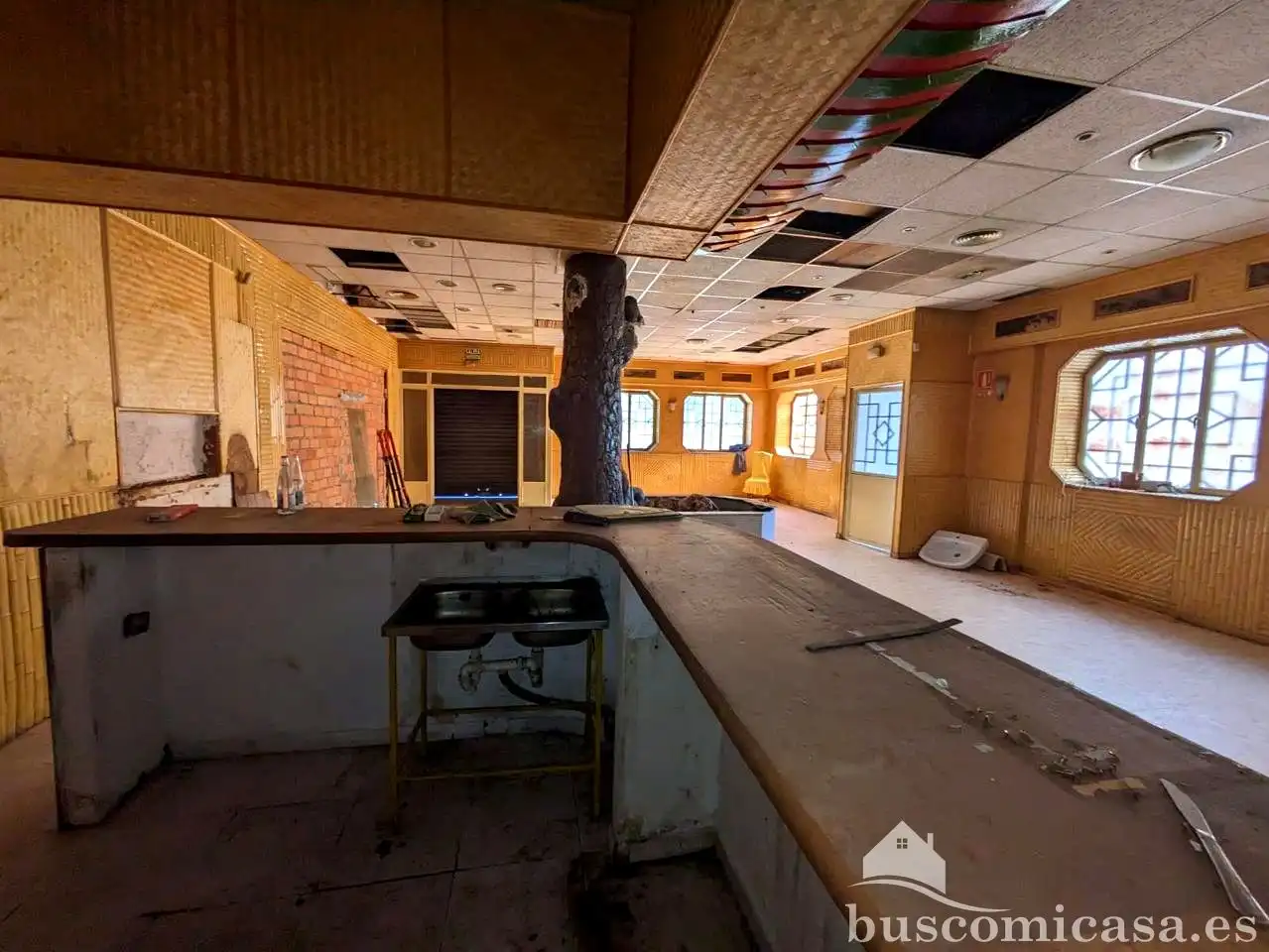 Gewerbefläche zur Miete in Aníbal E Himilce, imagen 3